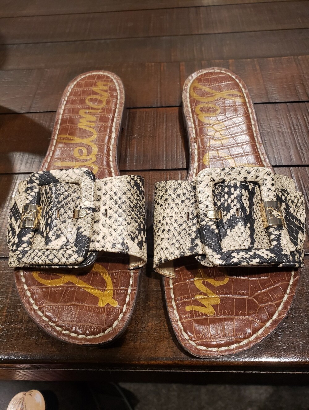 Sam Edelman Snake-Print Buckle Slide Sandals in Black & Cream